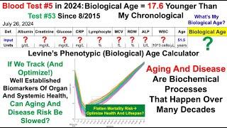 17.6y Younger Biological Age (Blood Test #5 In 2024)