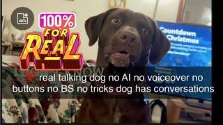 Dog speaks English, dog talks back having real conversation no voiceover  2025 latest Reese talking