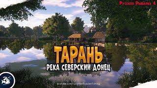 Тарань • р. Северский Донец • Русская Рыбалка 4