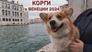 ВЕНЕЦИЯ 2024️ГОРОД на ВОДЕ куда ХОЧЕТСЯ ВЕРНУТЬСЯ!ПУТЕШЕСТВИЕ КОРГИ! Venice Hotel Abbazia