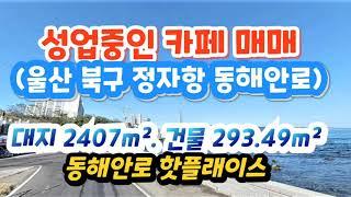 (2303*23) 정자항 주변 성업중인 카페 매매 합43억 제1종일주 대지 2407m² 건물 293.49m²  동해안로. 핫플