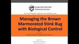 Managing the Brown Marmorated Stink Bug with Biological Control