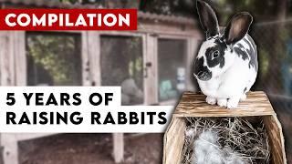 How we went from Success with Raising Rabbits to NEVER Again