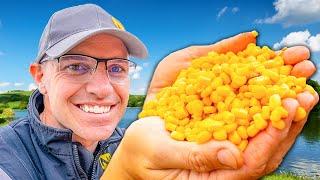 I (still) HATE Sweetcorn Fishing! | short pole fishing with corn