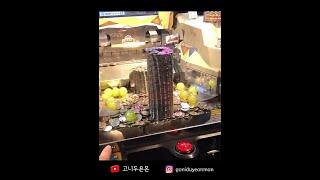 일본 돈 뽑기 700개 레전드 잭팟 터짐ㅋㅋ #고니두욘몬 #shorts #일본뽑기