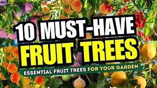  10 MUST HAVE Fruit Trees for YOUR Garden  GROW YOUR OWN! 