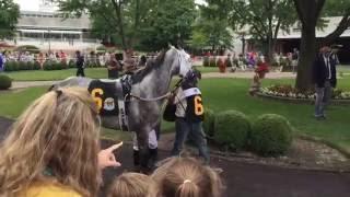 A Day at Arlington International Racecourse (Arlington Park) in Arlington Heights, Illinois