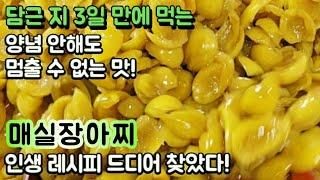 담근 지 3일만에 양념 안하고 먹어도 맛있는 매실장아찌 인생 레시피