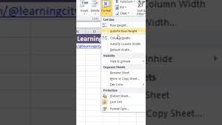 Set Column Width & Row Height in Excel #excel #customsetting