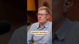 Какие углеводы полезнее? Как поддерживать уровень сахара без сахара? Объясняет Алексей Москалев
