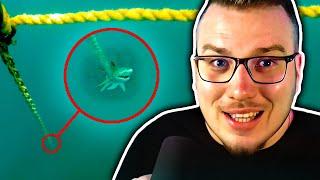 Čo v tej HLBINE je?｜Thalassophobia