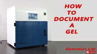 How to document the gel? Revised Version