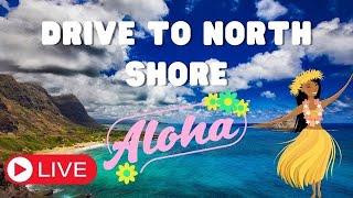 LIVE HAWAII - Pt 2Drive to North Shore ️