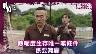 刑偵12｜喺呢度生存唯一嘅條件 係要夠癲｜第20集精華｜警匪｜懸疑｜#TVBUSA #TVB港劇精華