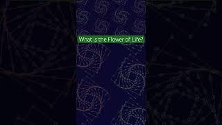What is the Flower of Life?