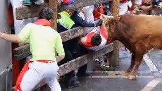 Schwerverletzte beim Stiertreiben in Pamplona