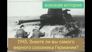 1945. Последнее крупное наступление панцерваффе или битва за Балатон. Конец Будапешского гарнизона