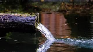 Bamboo Water Fountain and Healing Relaxing Music