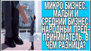 Микро бизнес. Малый и средний бизнес. Народный предприниматель. В чем разница?