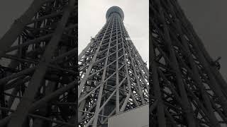 悟空とスカイツリー空の旅　　　