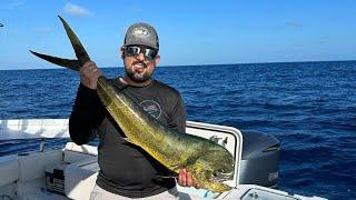 BIG MAHI MAHI FISHING IN THE KEYS