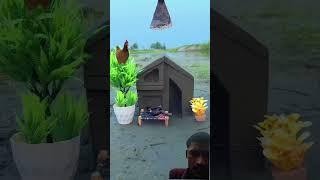 sot video