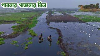 জীবন জীবিকার যোগানদার পাবনার গাজনার বিল || Source of Livelihood "Gajnaar Beel"