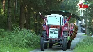 Tractor trip into the woods