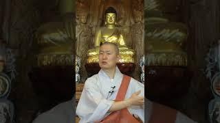 최상의 법보시를 행하다