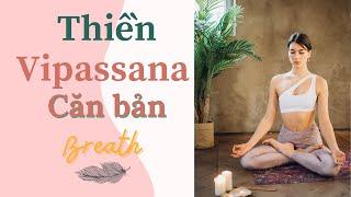Thiền định cho người mới bắt đầu - Thiền Vipassana căn bản - Breath.vn