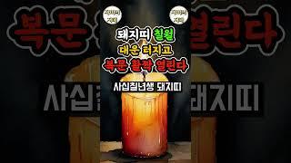 돼지띠 7월 대운 터지고 복문 활짝 여는방법
