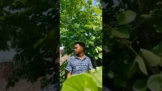 aksaini104