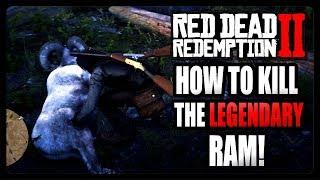 How To Kill The Legendary Ram! (Red Dead Redemption 2)