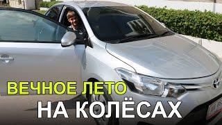 АРЕНДА АВТО В ПАТТАЙЕ - ВСЕ ПОДРОБНОСТИ, TOYOTA VIOS | ТАЙЛАНД 