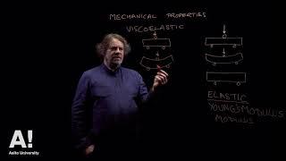 Mechanical properties of wood : viscoelastic material