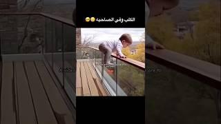 ستوري حزين ستوريات انستا حزينه مقاطع انستقرام  ستوريات حزينه كتابه حزنحالات انستا شعر حزين
