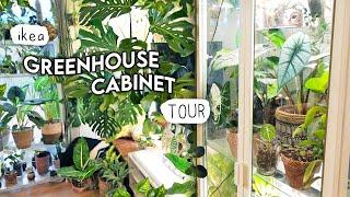 Greenhouse Cabinet Houseplant TOUR 🪴