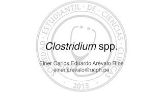 Clostridium spp.