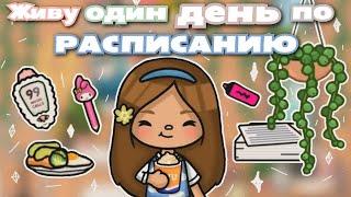 •|🪴Живу один день по расписанию@tocameris |• Toca life World/Utca toca