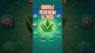 테아닌 효능 5가지 #테아닌 추천상품 '설명' 참조(화면 길게 누르기)