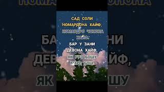 #падар #модар #мард #хаёт #оила #зиндаги #дунё_))🪴