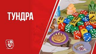 Обзор настольной игры Тундра