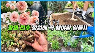 장마철 정원에 해야 할 일들이 정말 많네요 ㅠㅠ