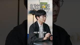 꽃 한송이에 담긴 '찰나'의 아름다움 #박원순 #명언 #꽃 #동기부여