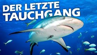 Der letzte Tauchgang  Tauchsafari Malediven  Weltreise 2024 - Travel Vlog #17 - Tag 13 | Deutsch