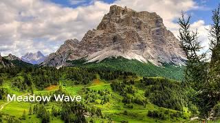 Meadow Wave אחו טראנס  Rachael Alice Orbach  רחל אליס אורבך