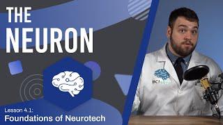 The Neuron - Structure and Function - Neuroscience - Lesson 4.2