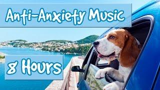 8 Hours of Music for Anxious Dogs - Music to help with Separation Anxiety and Nervous Dogs 