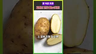 감자의 건강 효능 5가지 #건강