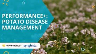 Performance+: Potato disease management